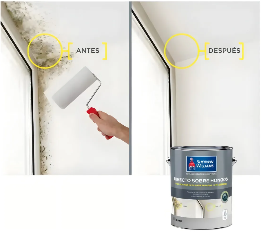 esmalte al agua sherwin williams directo sobre hongos